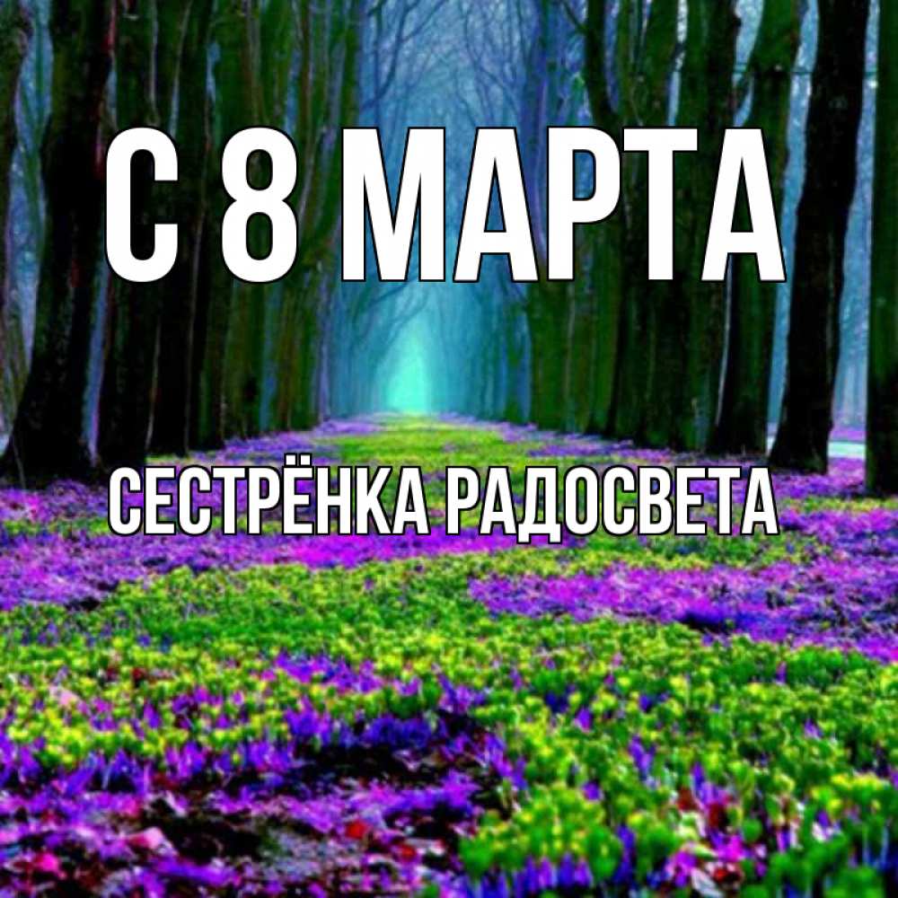 Открытка на каждый день с именем, Сестрёнка-Радосвета С 8 МАРТА фиолетовые цветы в лесу 1 Прикольная открытка с пожеланием онлайн скачать бесплатно 