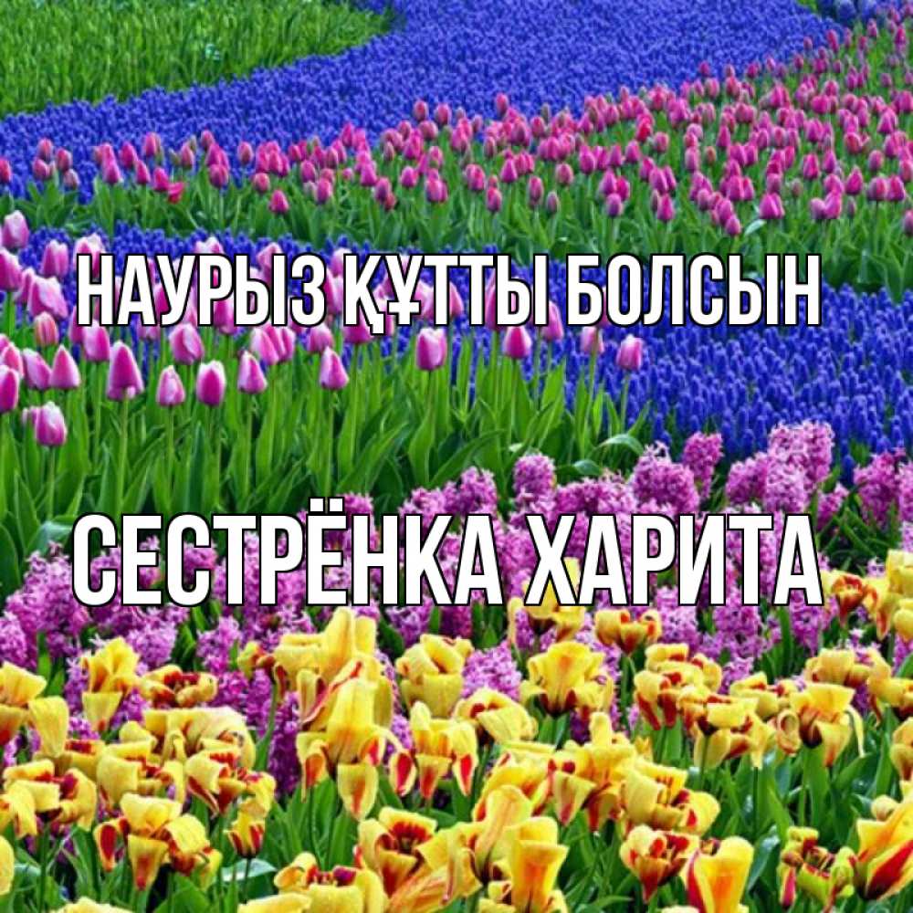 Открытка на каждый день с именем, Сестрёнка-Харита Наурыз құтты болсын цветы Прикольная открытка с пожеланием онлайн скачать бесплатно 