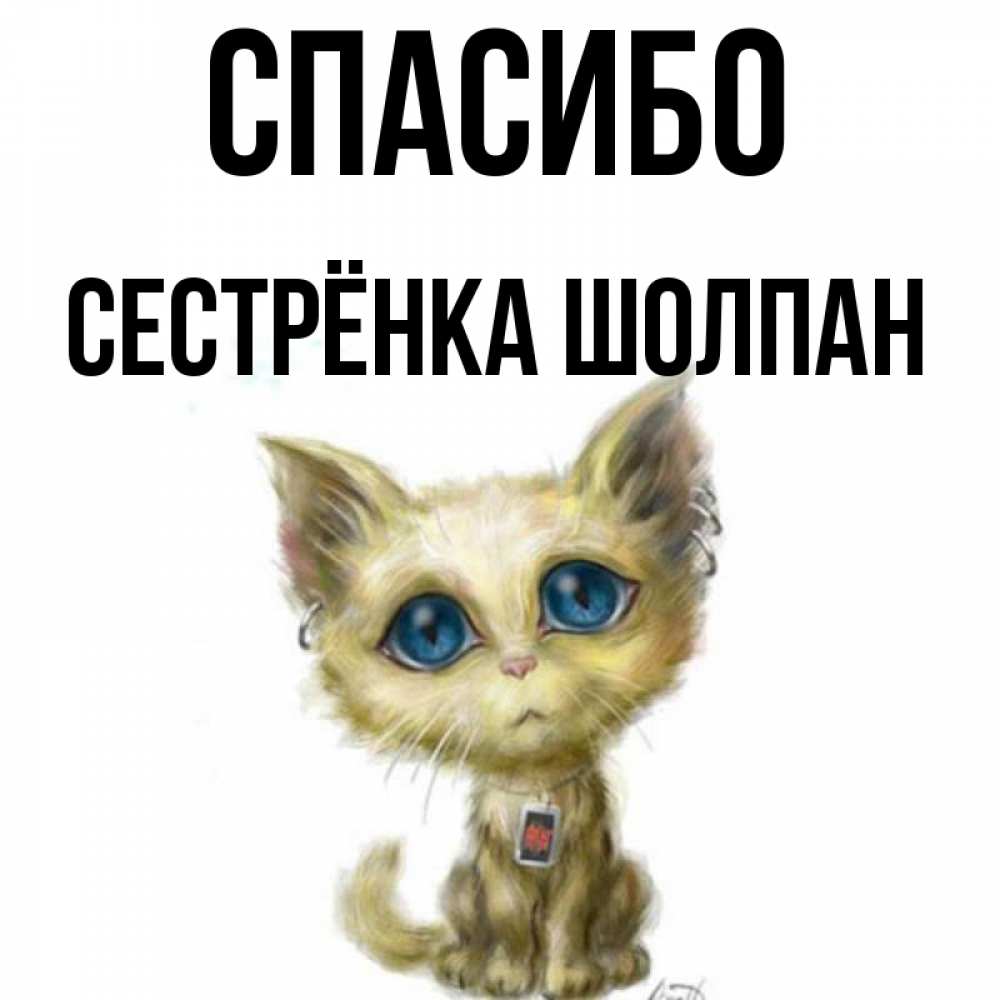Открытка на каждый день с именем, Сестрёнка-Шолпан Спасибо рисованный кот благодарит вас Прикольная открытка с пожеланием онлайн скачать бесплатно 