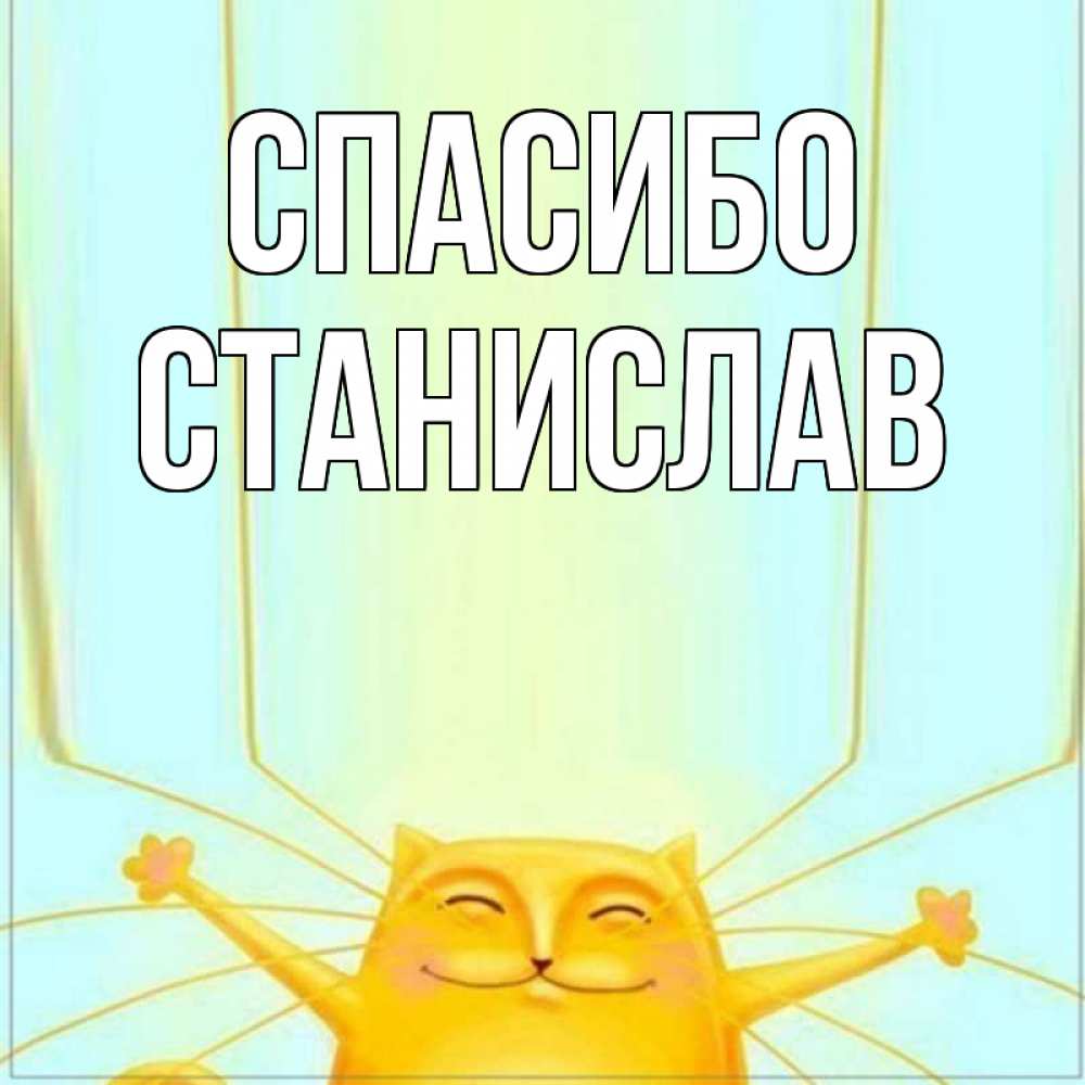 Открытка на каждый день с именем, Станислав Спасибо кот с усами благодарит Прикольная открытка с пожеланием онлайн скачать бесплатно 