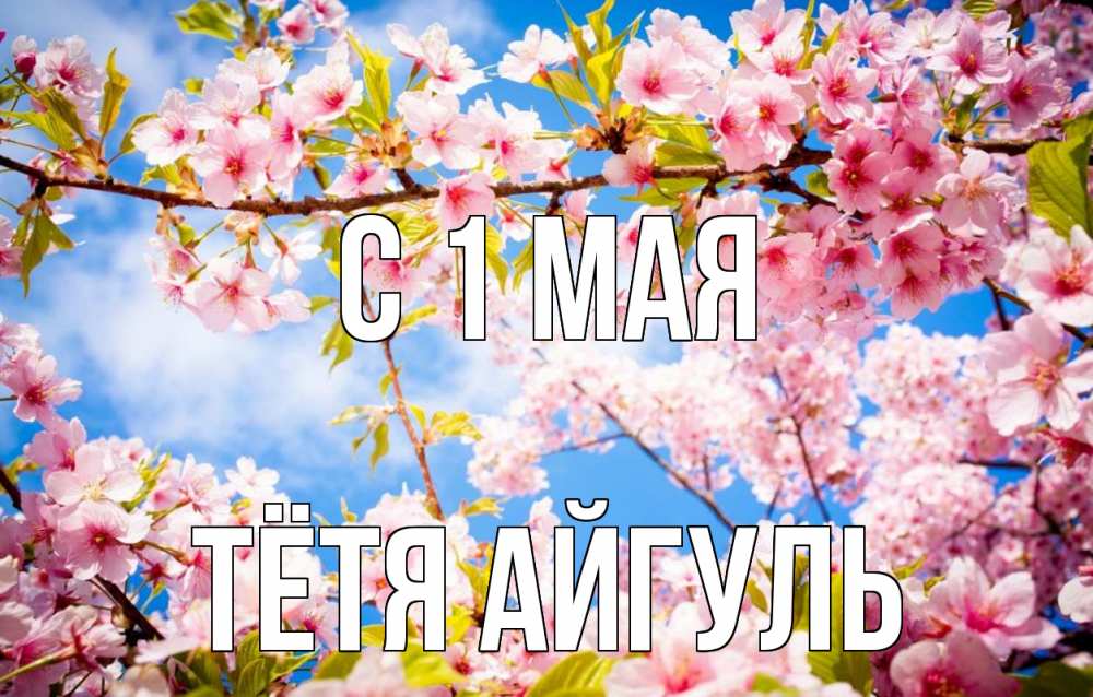 Открытка на каждый день с именем, Тётя-Айгуль С 1 мая С 1 мая Прикольная открытка с пожеланием онлайн скачать бесплатно 