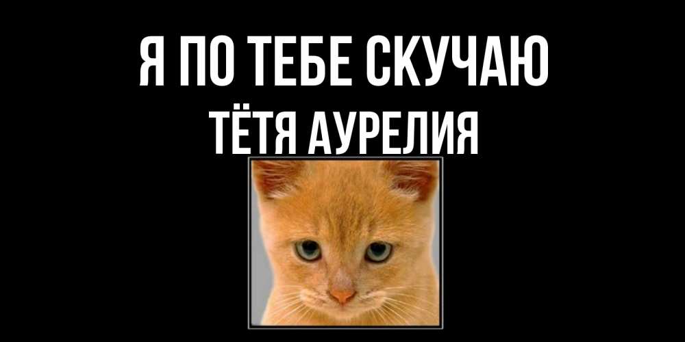 Открытка на каждый день с именем, Тётя-Аурелия Я по тебе скучаю открытки рыжий котенок скучает по тебе Прикольная открытка с пожеланием онлайн скачать бесплатно 