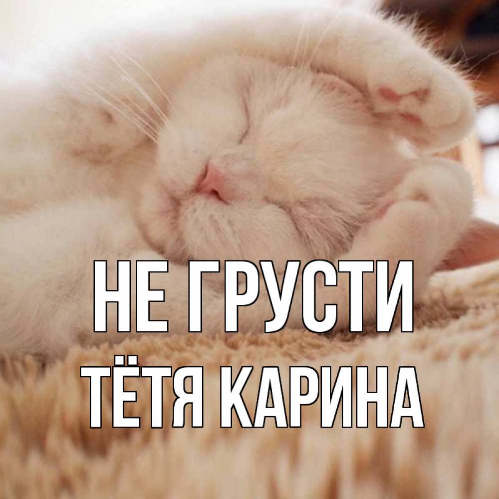Открытка на каждый день с именем, Тётя-Карина Не грусти белый кот Прикольная открытка с пожеланием онлайн скачать бесплатно 