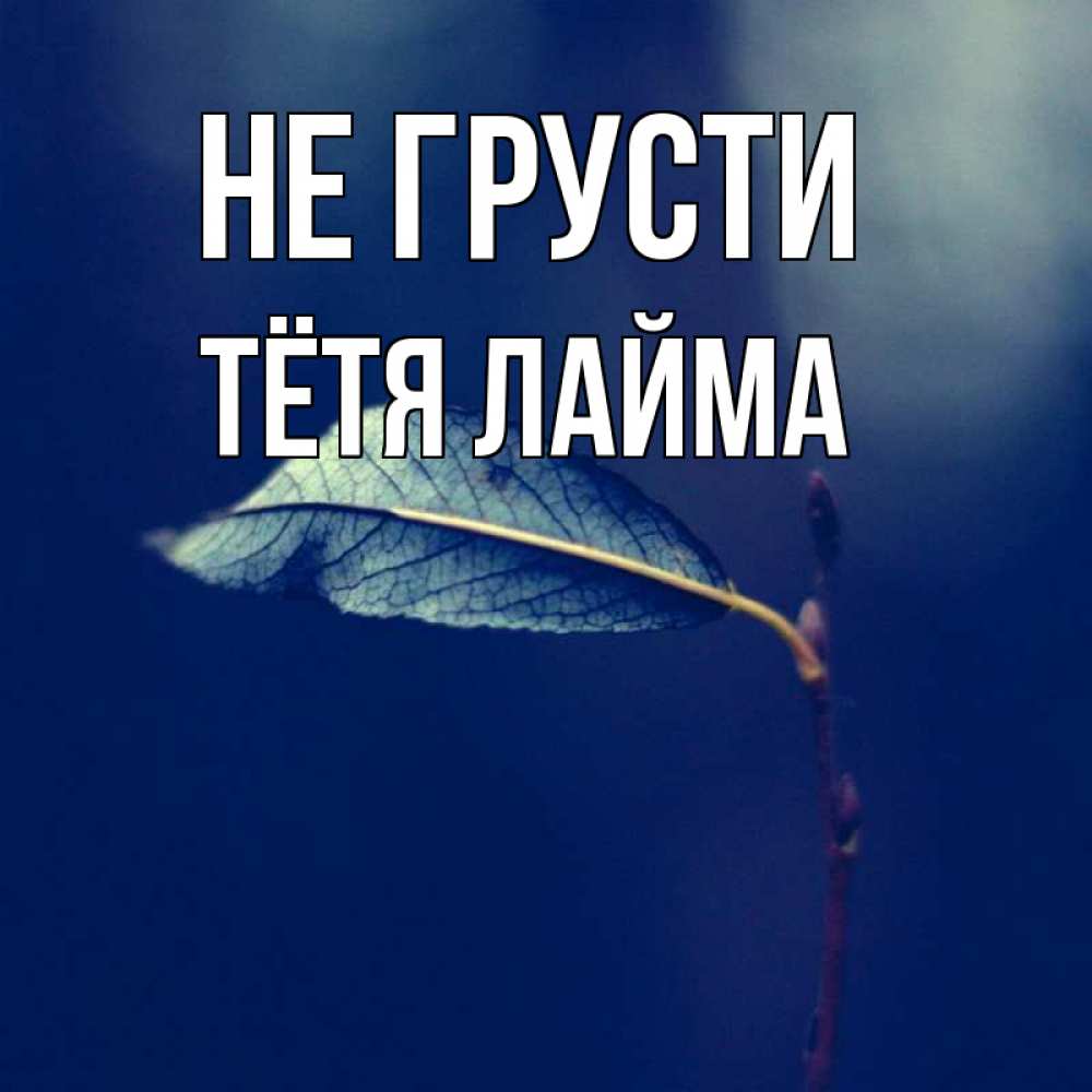 Открытка на каждый день с именем, Тётя-Лайма Не грусти растение Прикольная открытка с пожеланием онлайн скачать бесплатно 