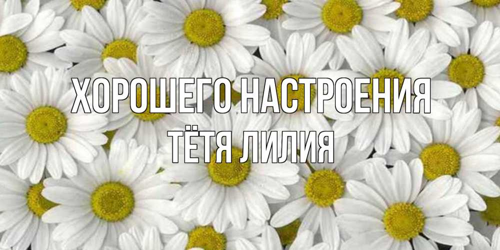 Открытка на каждый день с именем, Тётя-Лилия Хорошего настроения поляна ромашек Прикольная открытка с пожеланием онлайн скачать бесплатно 
