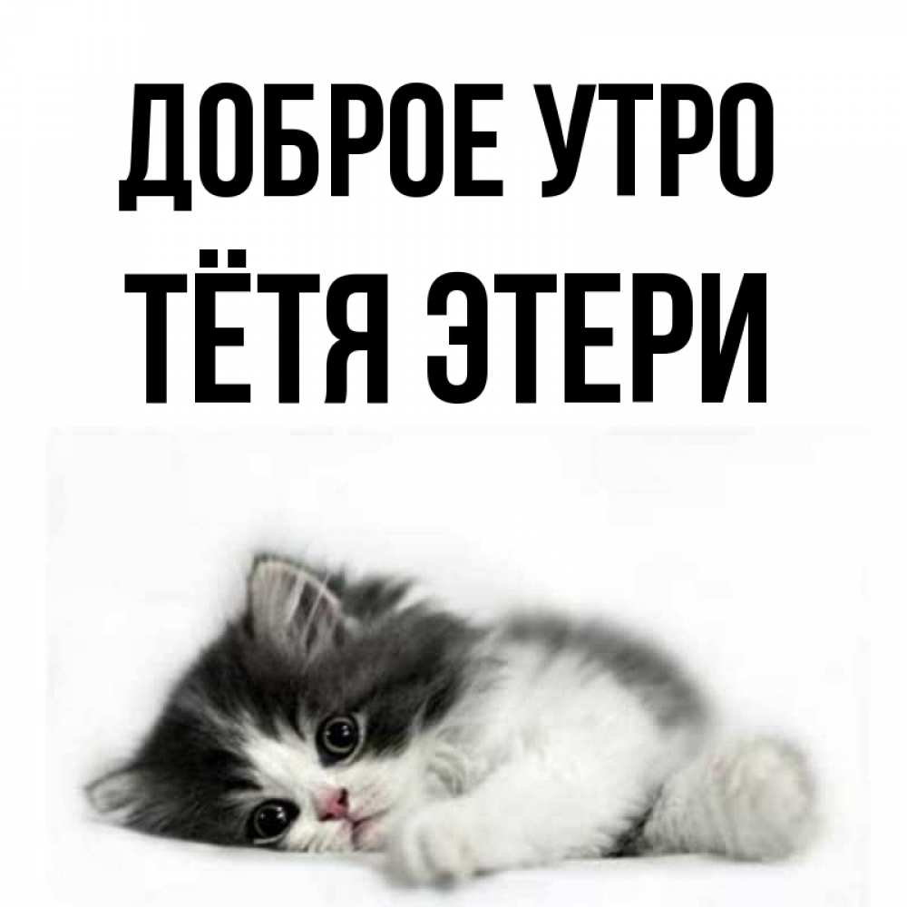 Открытка на каждый день с именем, Тётя-Этери Доброе утро кот лапки Прикольная открытка с пожеланием онлайн скачать бесплатно 
