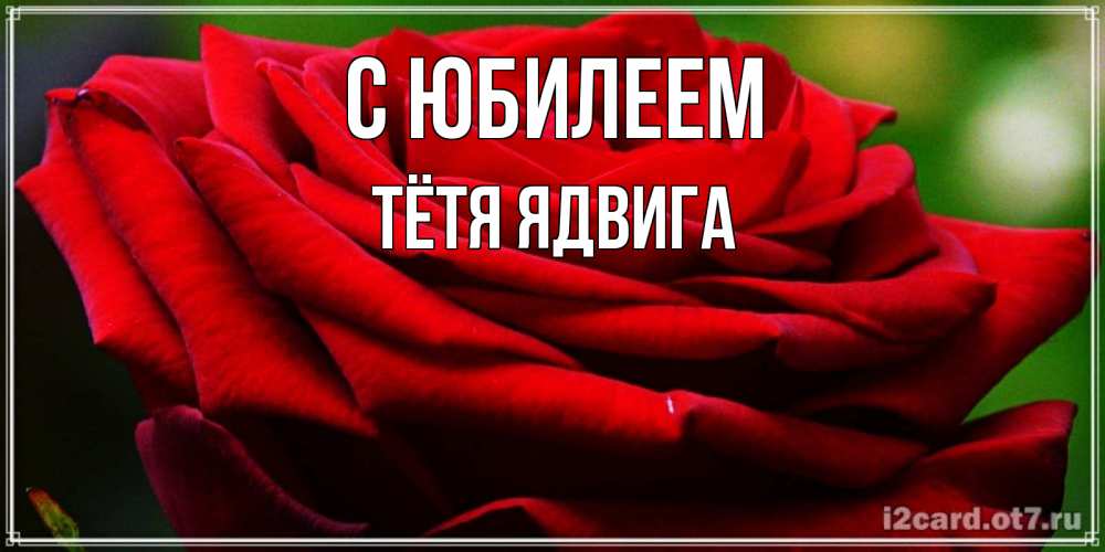Открытка на каждый день с именем, Тётя-Ядвига С юбилеем розочка очень красивая Прикольная открытка с пожеланием онлайн скачать бесплатно 