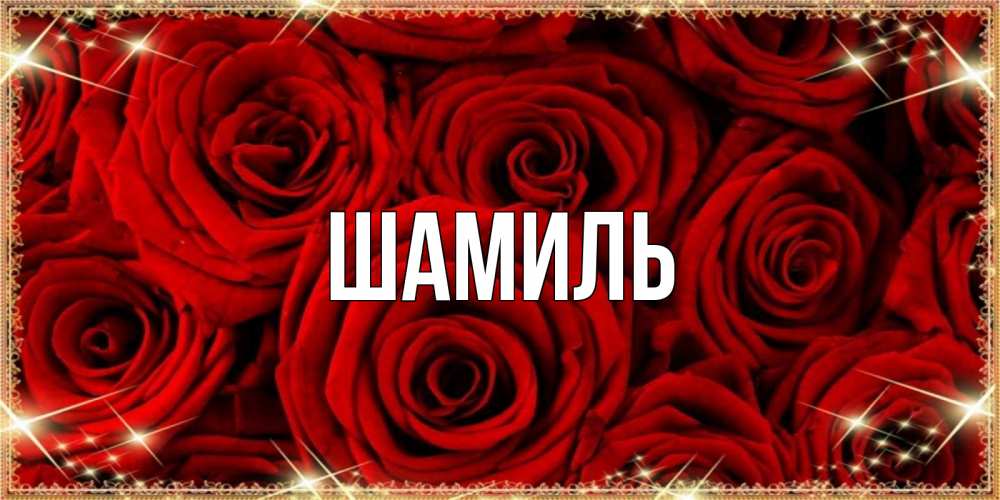Открытка на каждый день с именем, Шамиль Главная открытка для любимой Прикольная открытка с пожеланием онлайн скачать бесплатно 