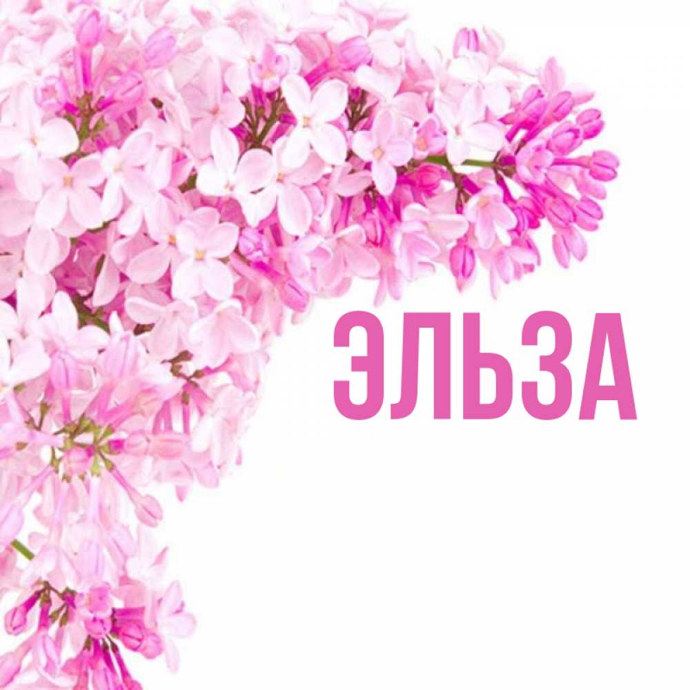Открытка на каждый день с именем, Эльза Главная Сирень на белом фоне Прикольная открытка с пожеланием онлайн скачать бесплатно 