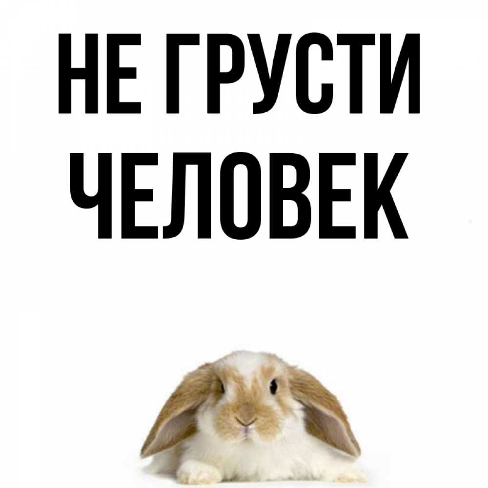 Позитивное мышление мемы. Кошка улыбается. Не грусти человек. Не грусти человек. Рыжий кот подмигивает.