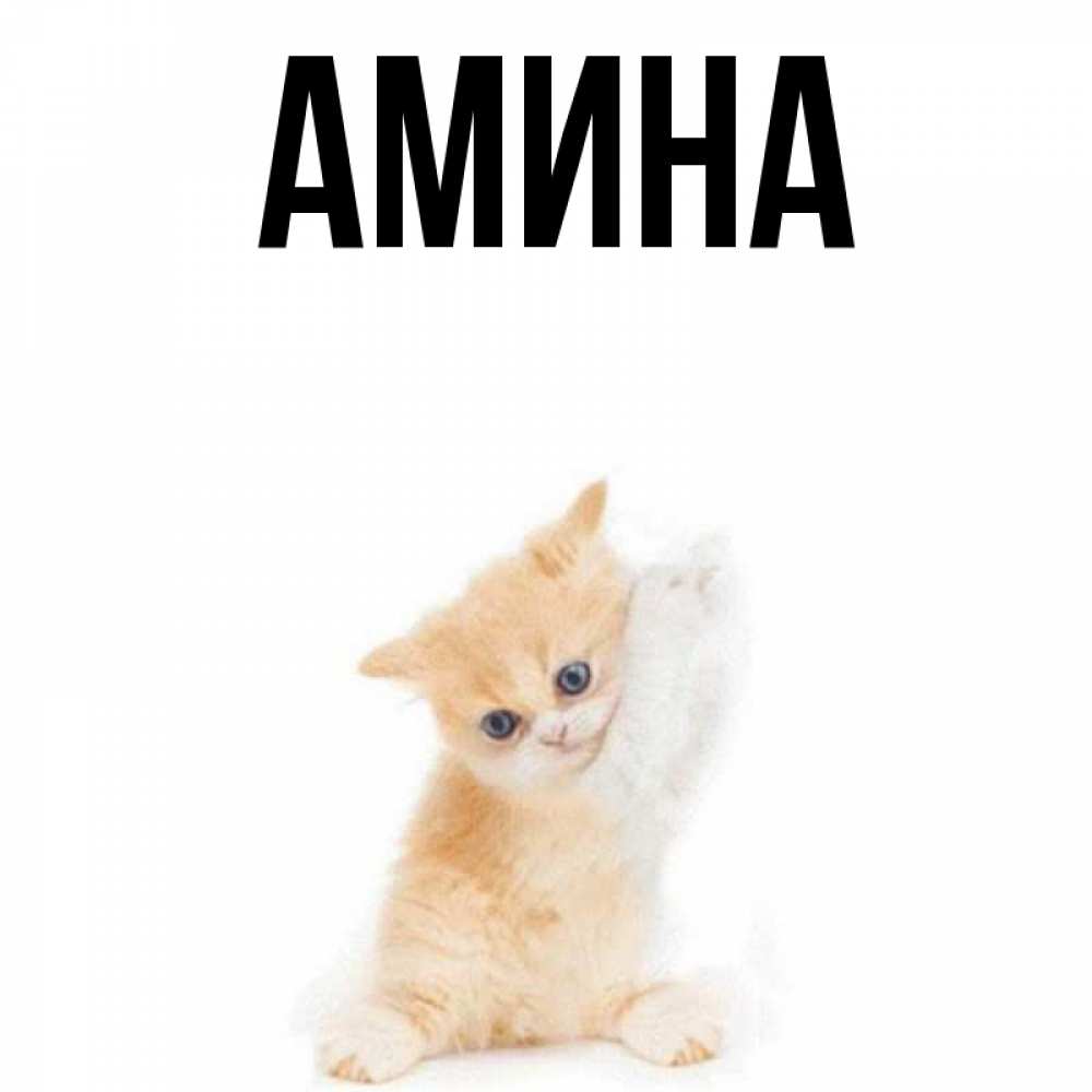 Картинки С Именем Амина