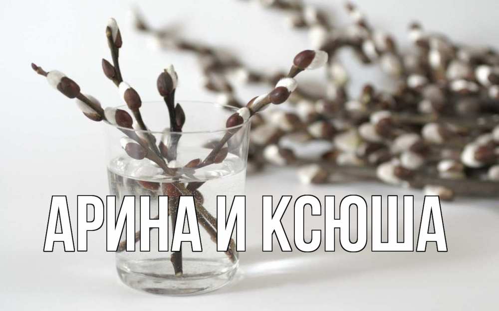 Открытка на каждый день с именем, Арина-и-Ксюша Главная верба Прикольная открытка с пожеланием онлайн скачать бесплатно 