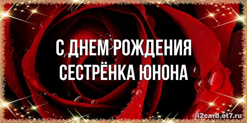 Открытка на каждый день с именем, Сестрёнка-Юнона С днем рождения цветок в росе на день рождения Прикольная открытка с пожеланием онлайн скачать бесплатно 
