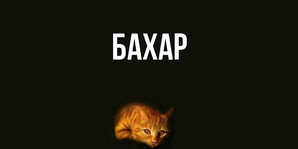 Открытка на каждый день с именем, Бахар Главная кот Прикольная открытка с пожеланием онлайн скачать бесплатно 