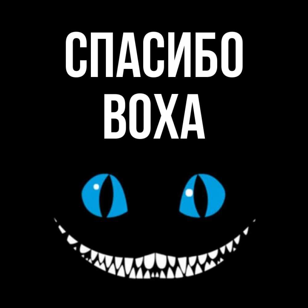 Спасибо Вера