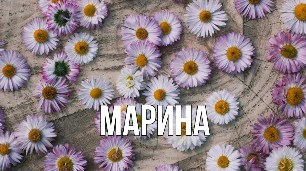 Открытка на каждый день с именем, Марина Главная с днем семьи Прикольная открытка с пожеланием онлайн скачать бесплатно 