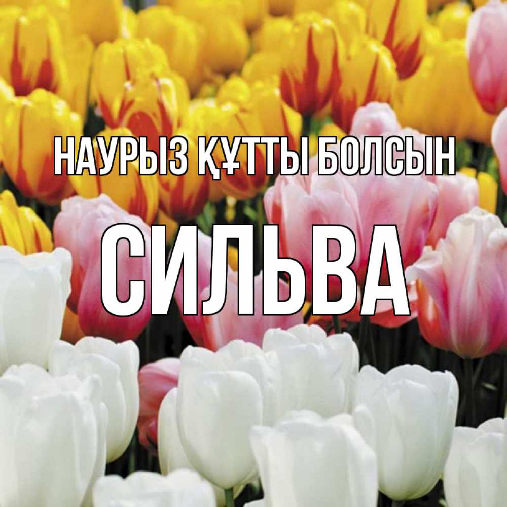 Открытка на каждый день с именем, Сильва Наурыз құтты болсын разноцветные цветы Прикольная открытка с пожеланием онлайн скачать бесплатно 