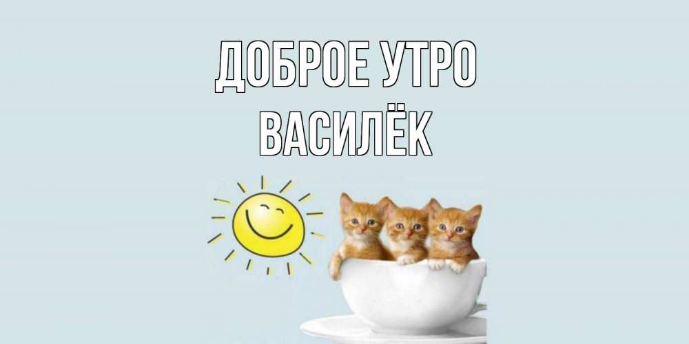 Открытка на каждый день с именем, Василёк Доброе утро котята Прикольная открытка с пожеланием онлайн скачать бесплатно 