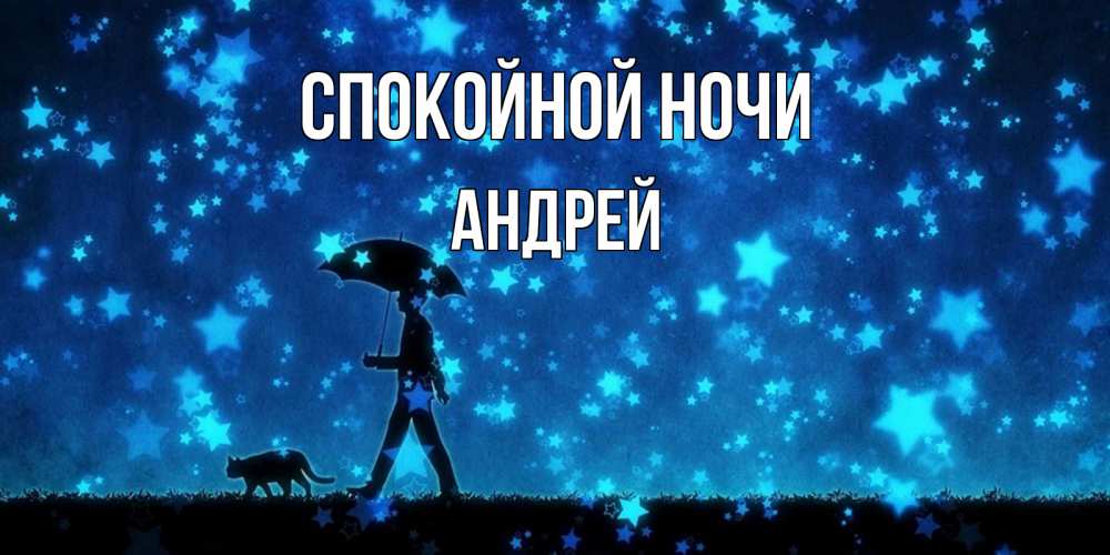 Открытка на каждый день с именем, Андрей Спокойной ночи ночные прогулки с котом под звездами Прикольная открытка с пожеланием онлайн скачать бесплатно 