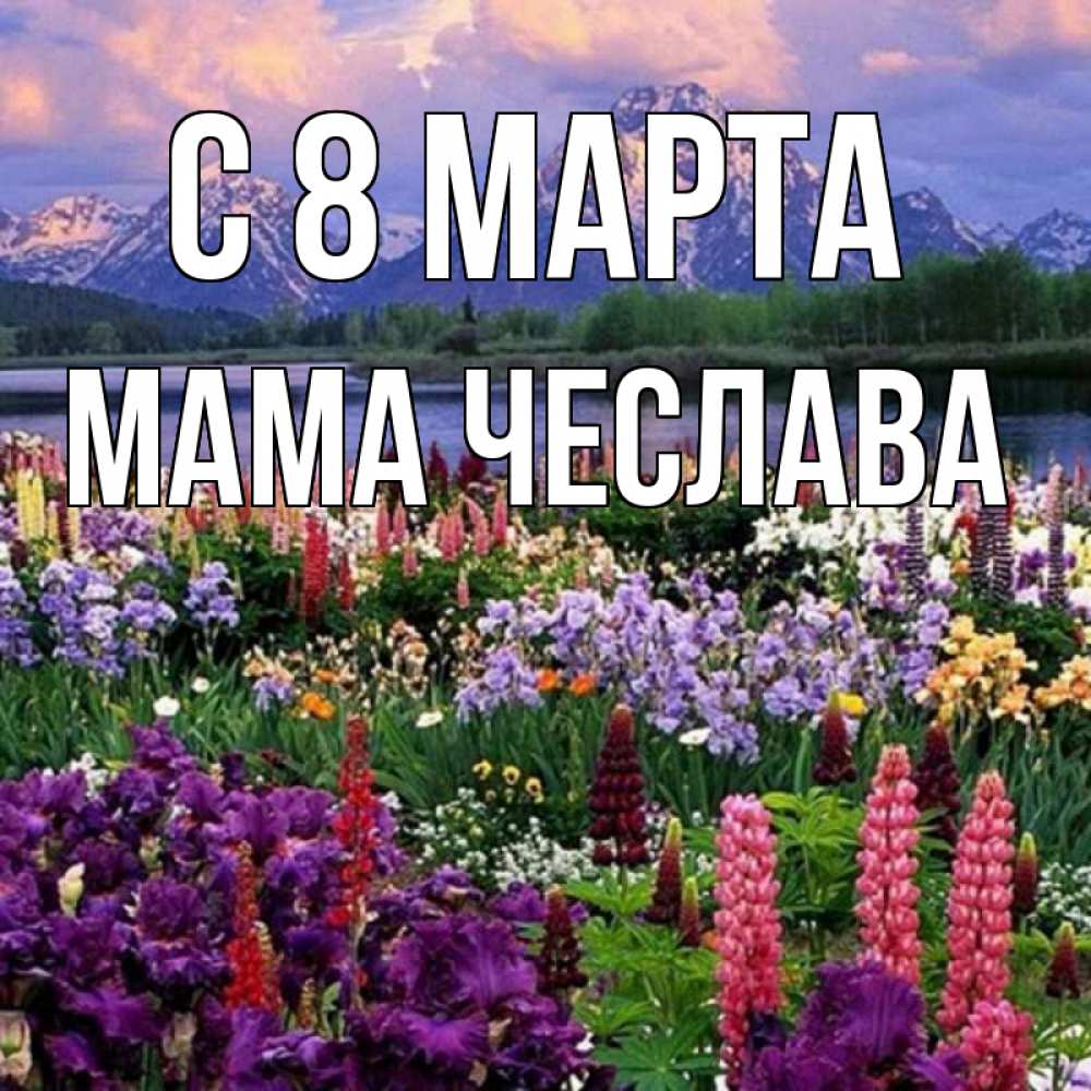 Открытка на каждый день с именем, Мама-Чеслава С 8 МАРТА международный женский день Прикольная открытка с пожеланием онлайн скачать бесплатно 