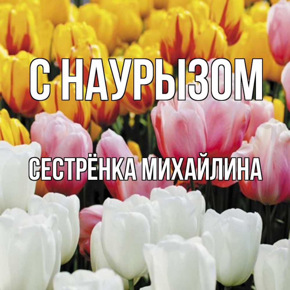 Открытка на каждый день с именем, Сестрёнка-Михайлина С наурызом разноцветные цветы Прикольная открытка с пожеланием онлайн скачать бесплатно 