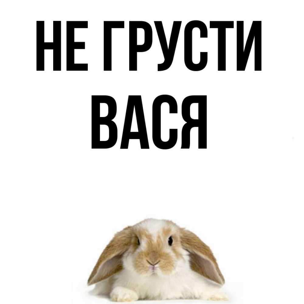 Не грусти амиго