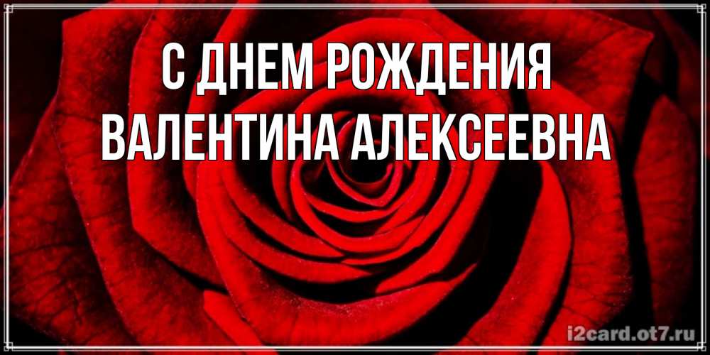 Открытка на каждый день с именем, Валентина-Алексеевна С днем рождения алая роза Прикольная открытка с пожеланием онлайн скачать бесплатно 
