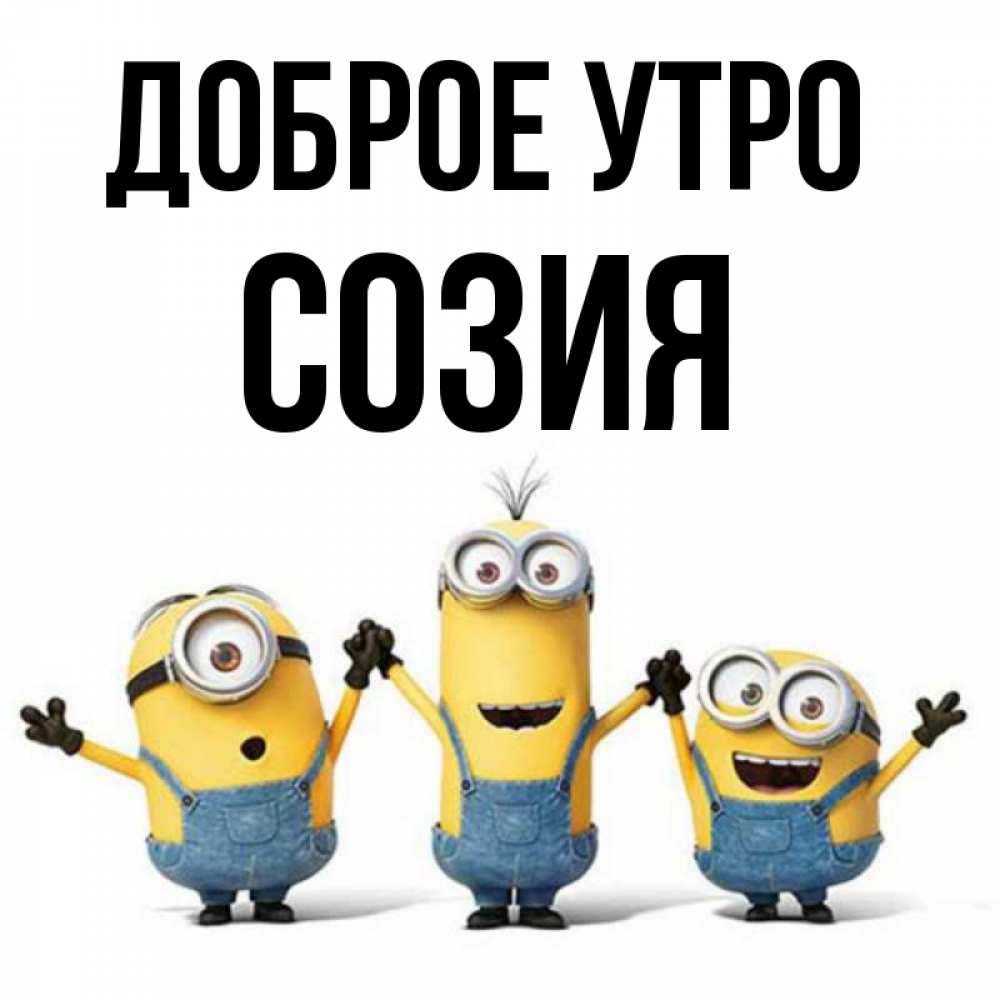 Открытка на каждый день с именем, Созия Доброе утро бодренького утра Прикольная открытка с пожеланием онлайн скачать бесплатно 