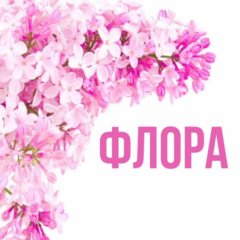 G. Зион логотип. Flora имя. Flora имя. Flora имя.