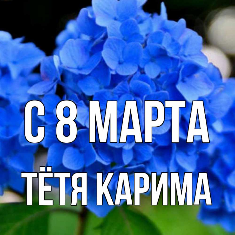 Открытка на каждый день с именем, Тётя-Карима С 8 марта синие цветы Прикольная открытка с пожеланием онлайн скачать бесплатно 