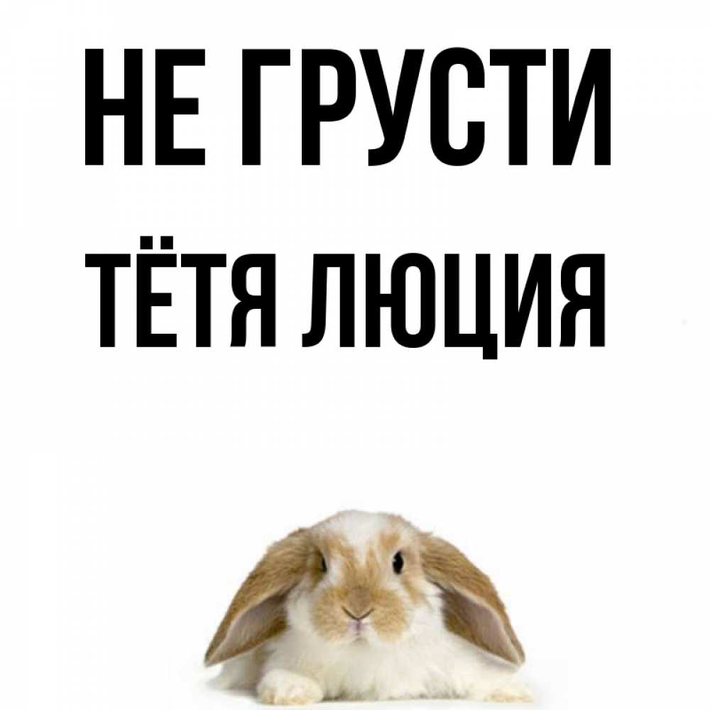 Открытка на каждый день с именем, Тётя-Люция Не грусти коричнево белый заяц с большими ушками Прикольная открытка с пожеланием онлайн скачать бесплатно 