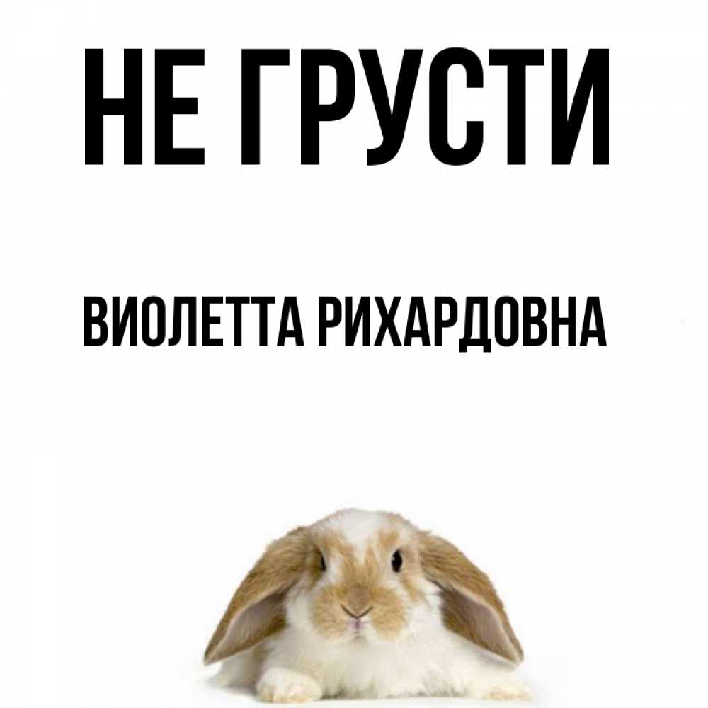 Не грусти амиго