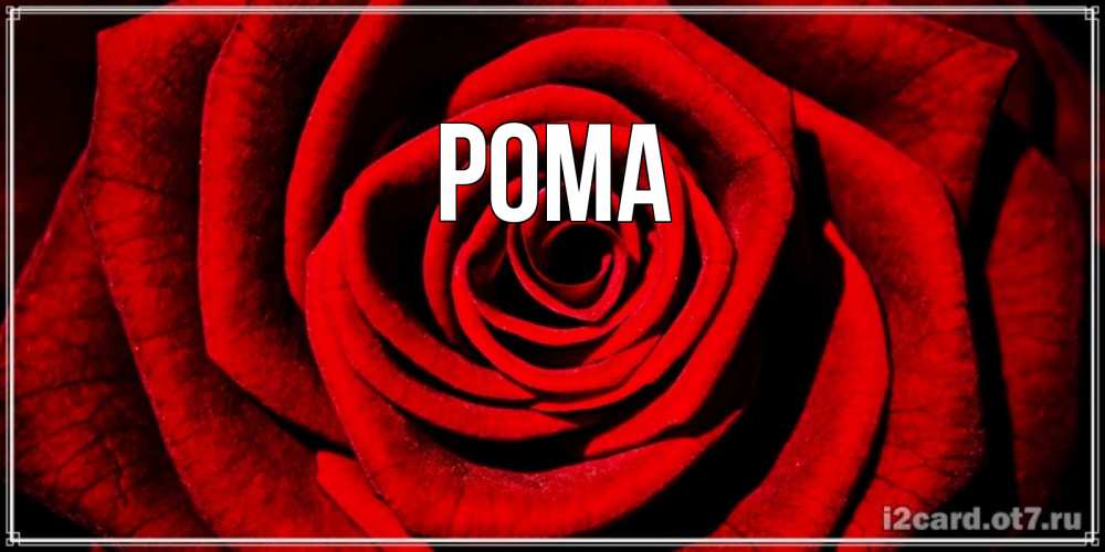 Открытка на каждый день с именем, Рома Главная алая роза Прикольная открытка с пожеланием онлайн скачать бесплатно 