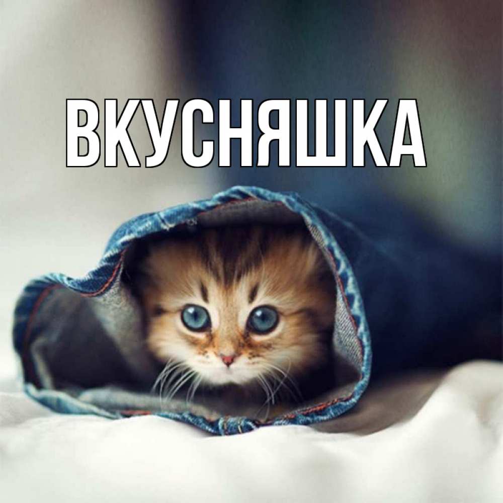 Открытка на каждый день с именем, Вкусняшка Главная мне без тебя плохо Прикольная открытка с пожеланием онлайн скачать бесплатно 