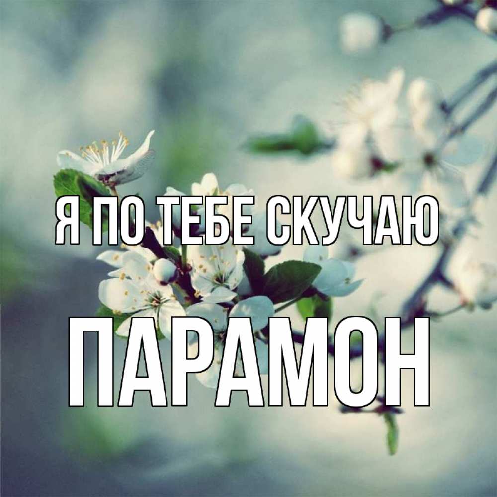 Открытка на каждый день с именем, Парамон Я по тебе скучаю весна Прикольная открытка с пожеланием онлайн скачать бесплатно 