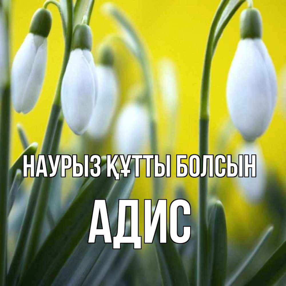 Открытка на каждый день с именем, Адис Наурыз құтты болсын весенние цветы Прикольная открытка с пожеланием онлайн скачать бесплатно 
