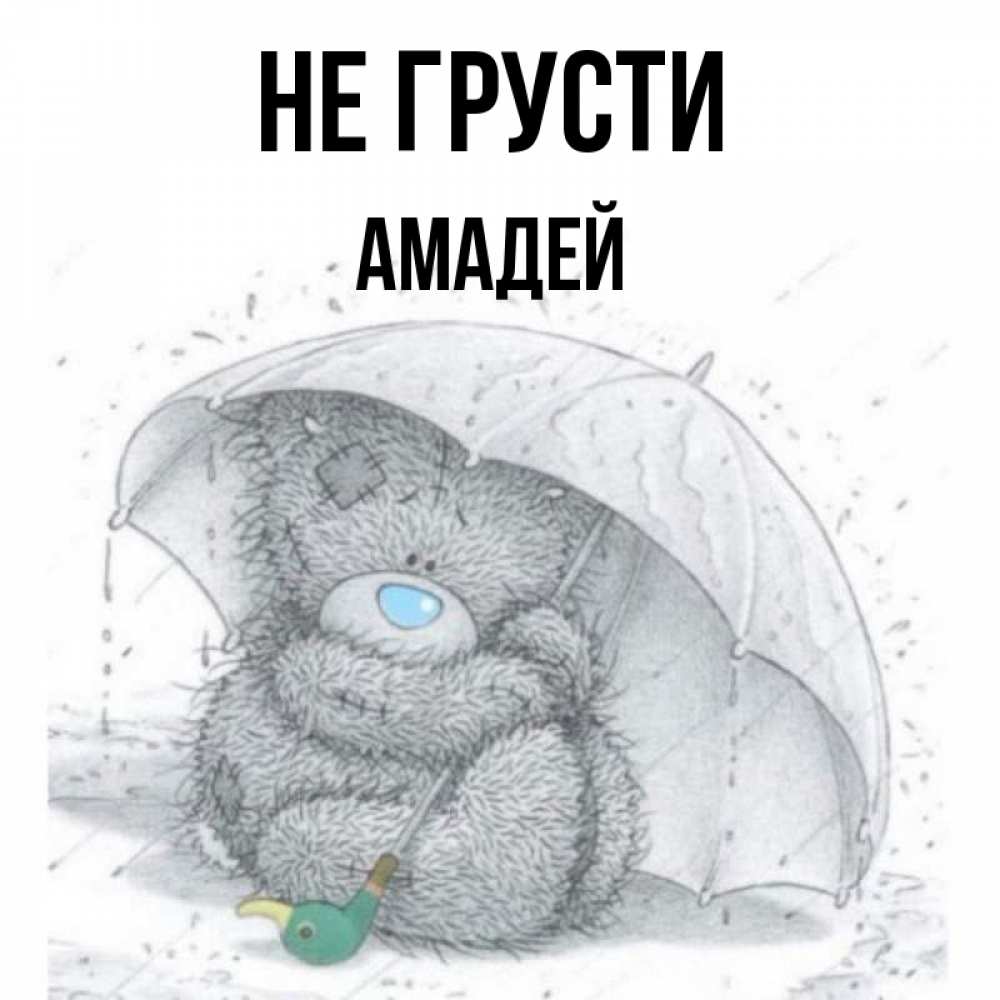 Открытка на каждый день с именем, Амадей Не грусти спасите мишку Тедди Прикольная открытка с пожеланием онлайн скачать бесплатно 