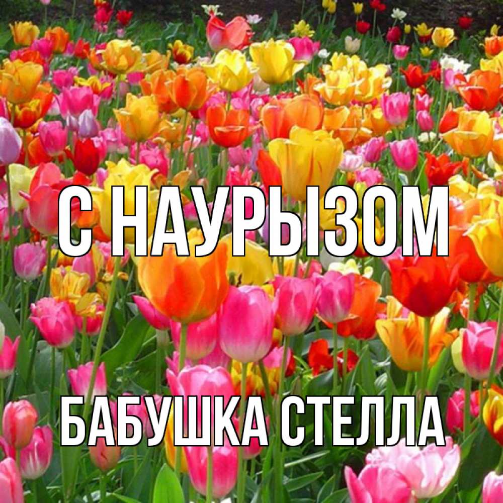 Открытка на каждый день с именем, Бабушка-Стелла С наурызом праздник весны наурыз 4 Прикольная открытка с пожеланием онлайн скачать бесплатно 