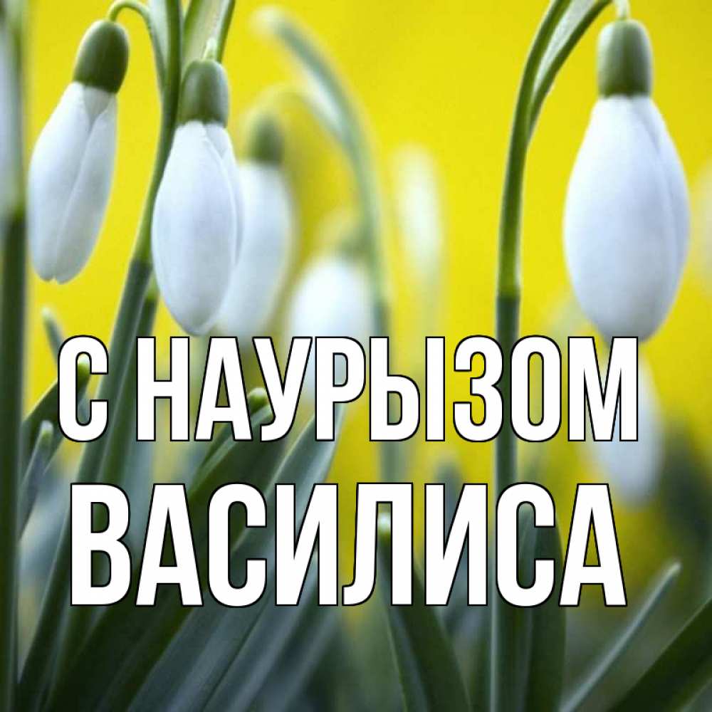 Открытка на каждый день с именем, Василиса С наурызом весенние цветы Прикольная открытка с пожеланием онлайн скачать бесплатно 