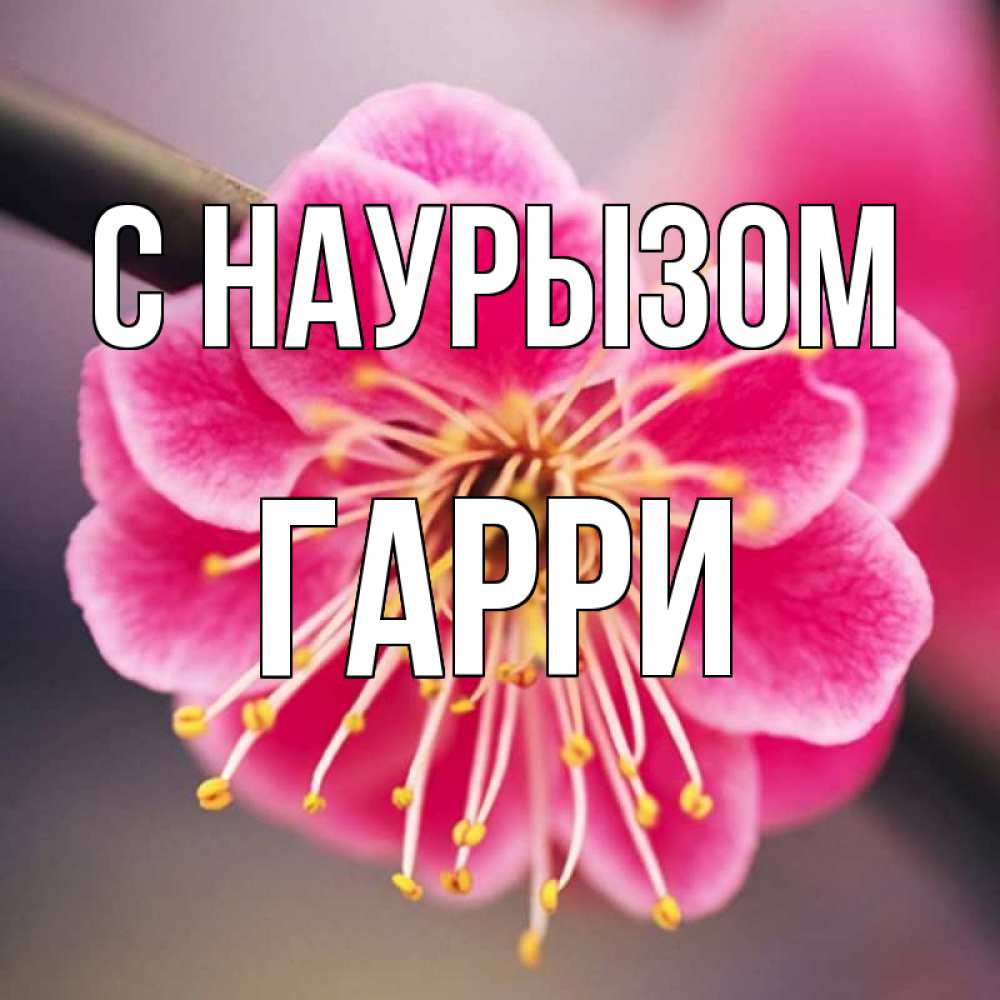 Открытка на каждый день с именем, Гарри С наурызом цветы Прикольная открытка с пожеланием онлайн скачать бесплатно 