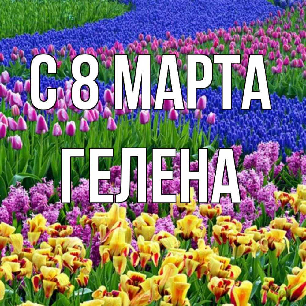 Открытка на каждый день с именем, Гелена С 8 МАРТА цветы Прикольная открытка с пожеланием онлайн скачать бесплатно 