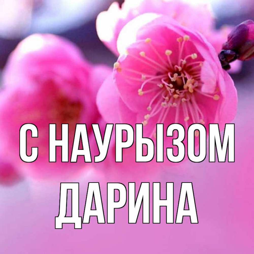 Открытка на каждый день с именем, Дарина С наурызом международный женский день Прикольная открытка с пожеланием онлайн скачать бесплатно 