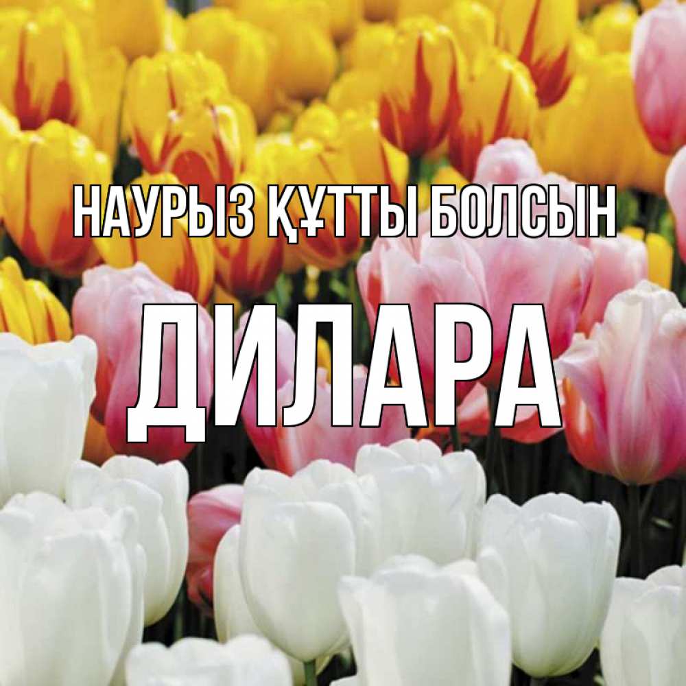 Открытка на каждый день с именем, Дилара Наурыз құтты болсын разноцветные цветы Прикольная открытка с пожеланием онлайн скачать бесплатно 