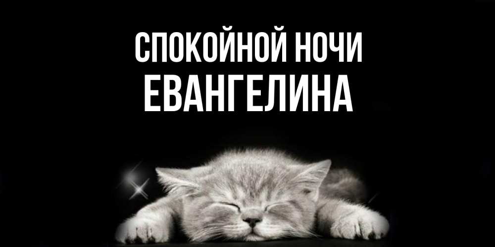 Открытка на каждый день с именем, Евангелина Спокойной ночи спящий котик Прикольная открытка с пожеланием онлайн скачать бесплатно 