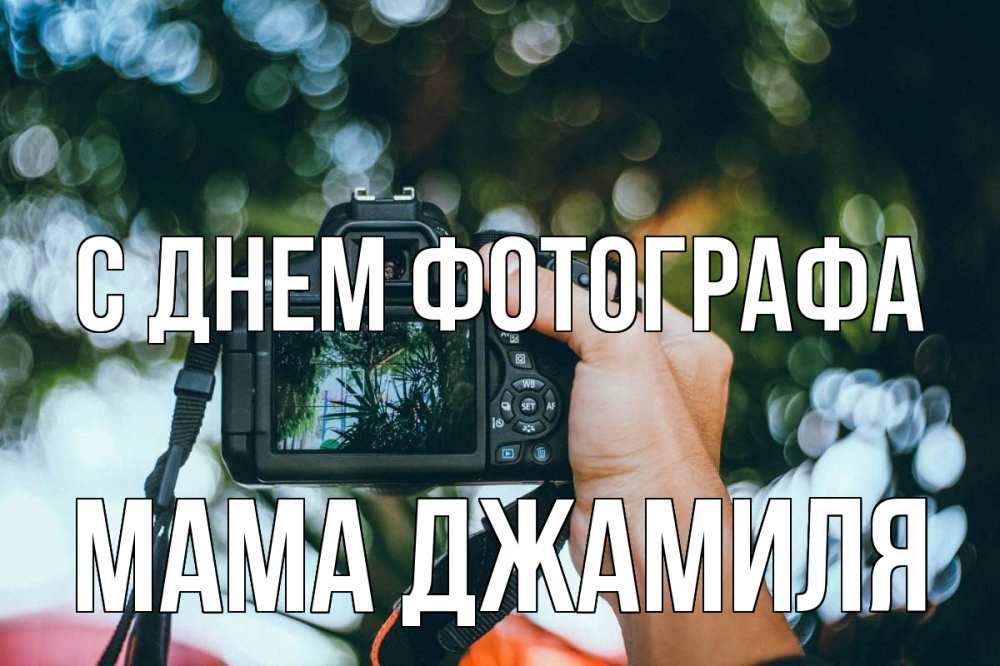 Открытка на каждый день с именем, Мама-Джамиля С днем фотографа с днем фотографа Прикольная открытка с пожеланием онлайн скачать бесплатно 