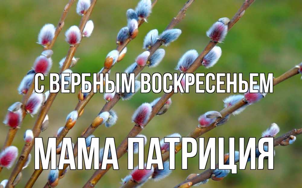 Открытка на каждый день с именем, Мама-Патриция С вербным воскресеньем верба Прикольная открытка с пожеланием онлайн скачать бесплатно 