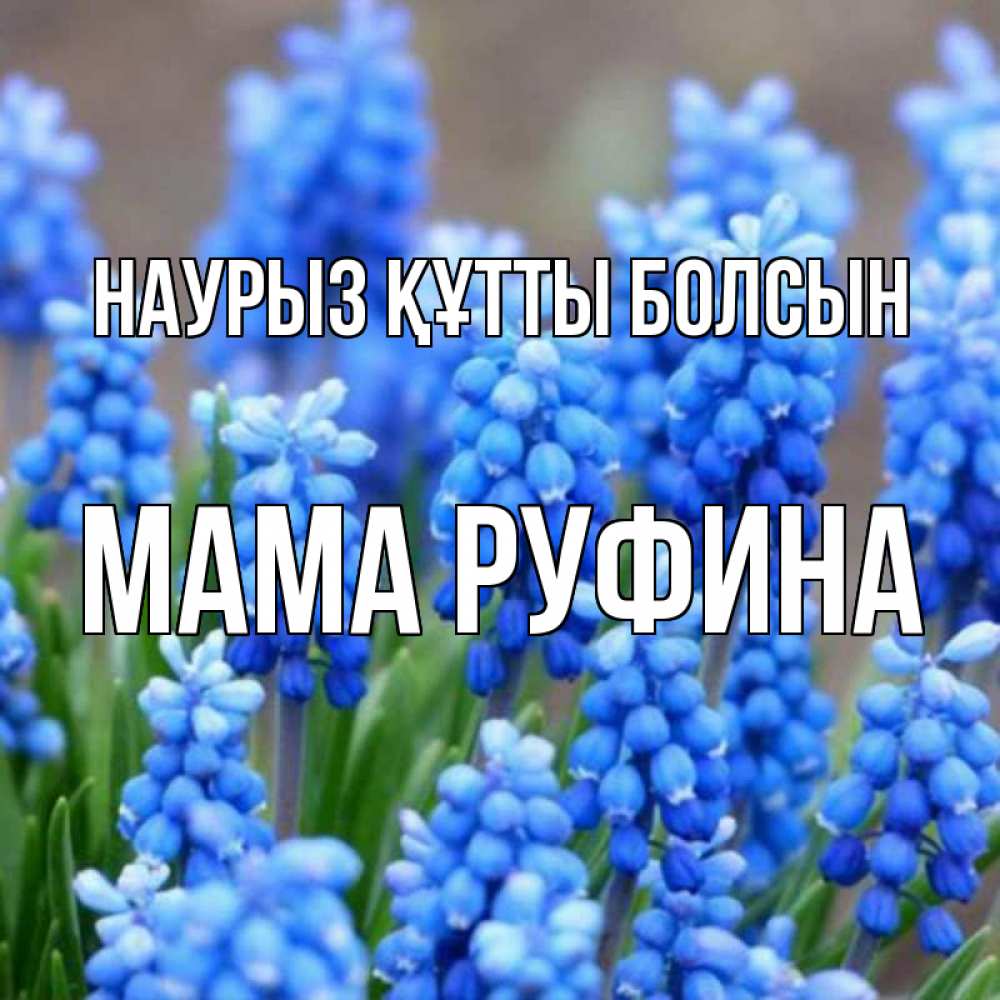 Открытка на каждый день с именем, Мама-Руфина Наурыз құтты болсын Поздравительная открытка для женщин с цветами на праздничную дату Прикольная открытка с пожеланием онлайн скачать бесплатно 