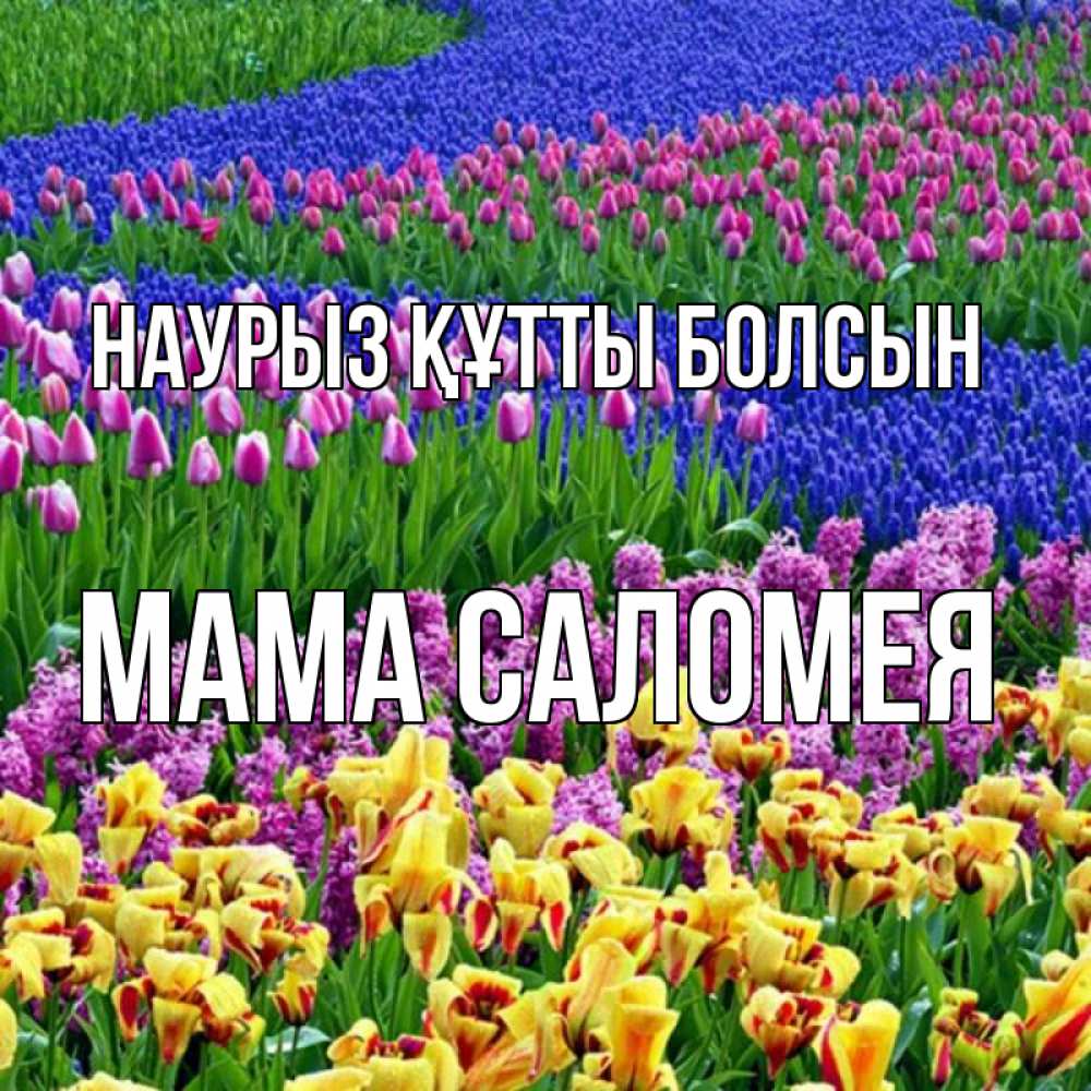 Открытка на каждый день с именем, Мама-Саломея Наурыз құтты болсын цветы Прикольная открытка с пожеланием онлайн скачать бесплатно 
