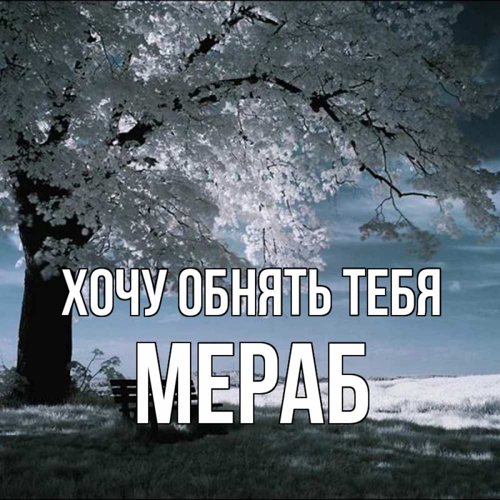 Открытка на каждый день с именем, Мераб Хочу обнять тебя дерево Прикольная открытка с пожеланием онлайн скачать бесплатно 