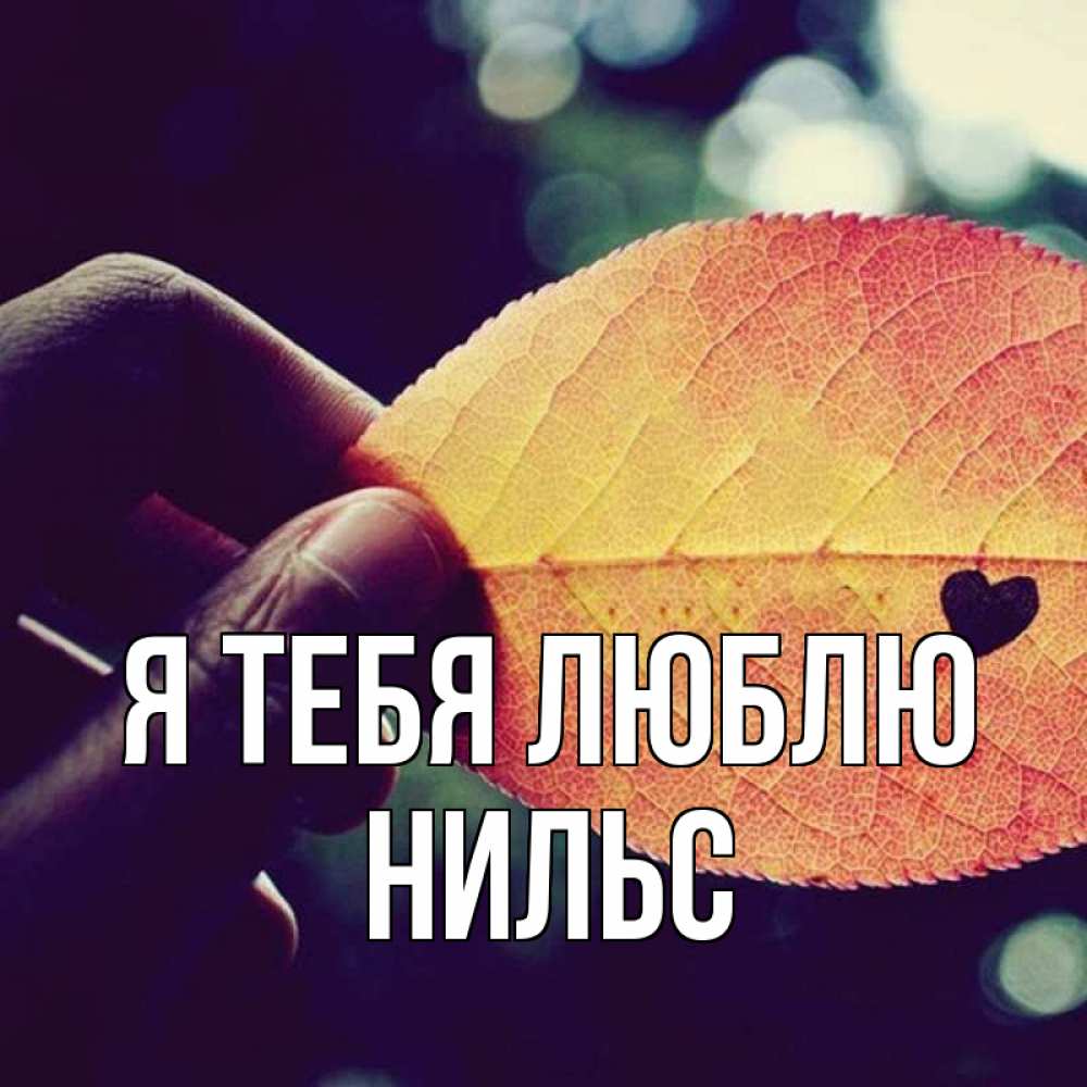 Открытка на каждый день с именем, Нильс Я тебя люблю держу лист Прикольная открытка с пожеланием онлайн скачать бесплатно 